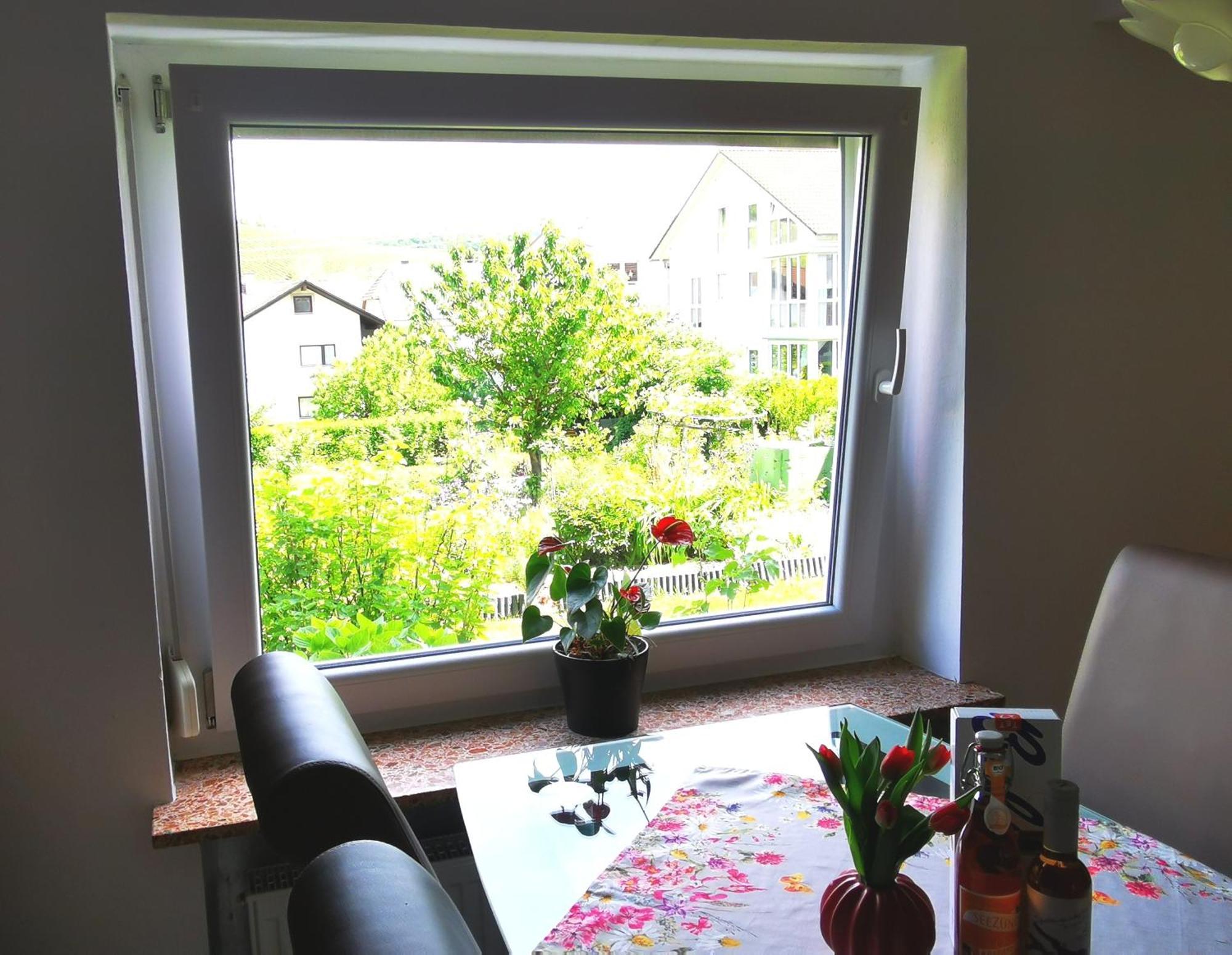 Ferienwohnung Bermatingen Buitenkant foto